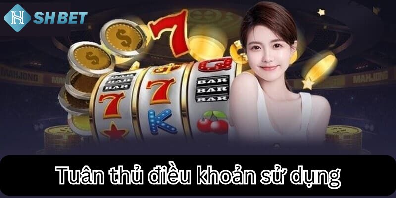 Tuân thủ điều khoản đúng đắn