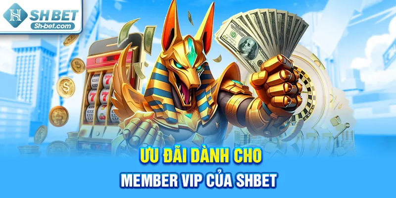 Ưu đãi dành cho member VIP của SHBET