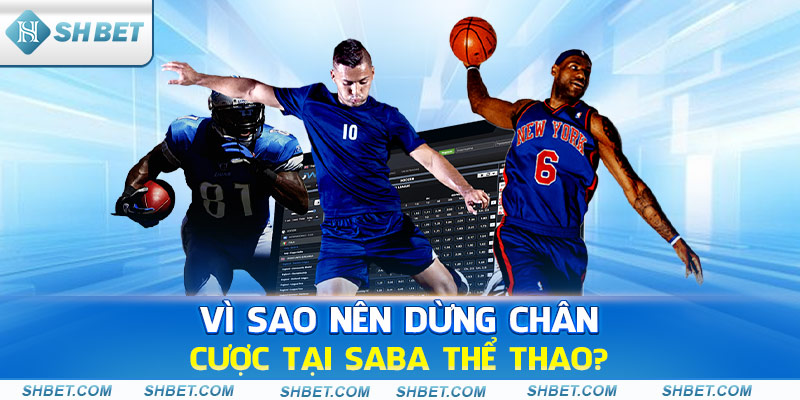 Vì sao nên dừng chân cược tại Saba thể thao?